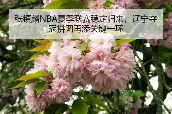 zhang-zhen-lin-xia-ji-lian-sai-wen-ding-gui-lai-liao-ning-duo-guan-pin-tu-zai-tian-guan-jian-yi-huan-3-222.jpg
