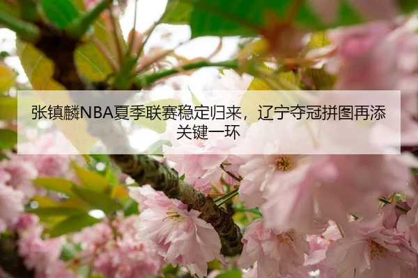 张镇麟NBA夏季联赛稳定归来，辽宁夺冠拼图再添关键一环