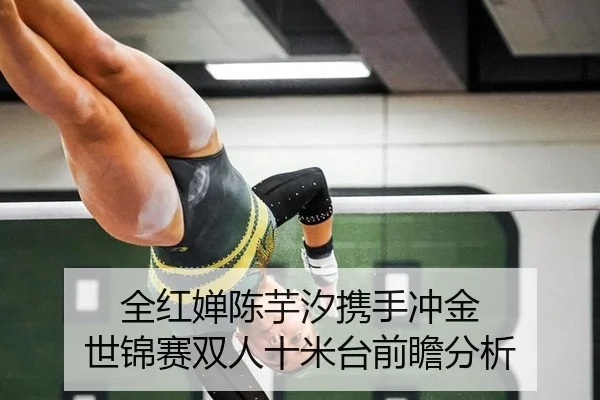 quan-hong-chan-chen-yu-xi-xie-shou-chong-jin-shi-jin-sai-shuang-ren-shi-mi-tai-qian-zhan-fen-xi-2-537.jpg