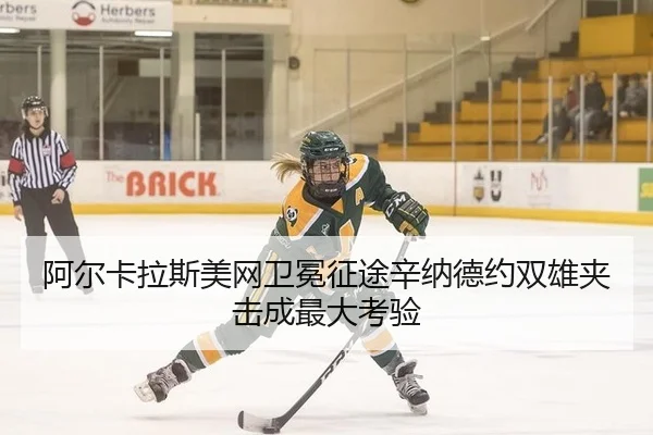 a-er-ka-la-si-mei-wang-wei-mian-zheng-tu-xin-na-de-yue-shuang-xiong-jia-ji-cheng-zui-da-kao-yan-2-840.jpg